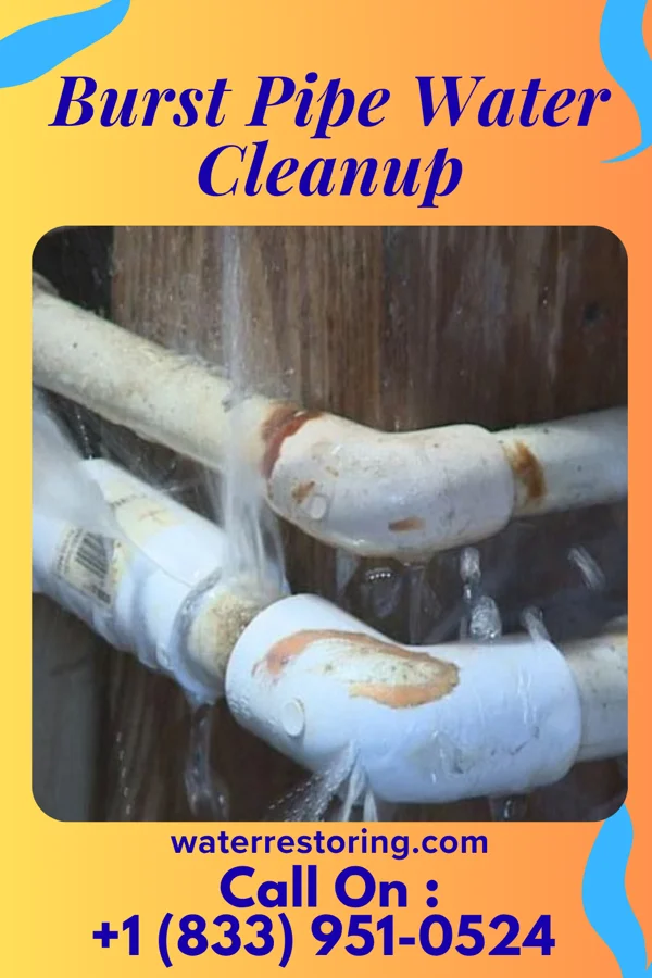 Burst Pipe Water Cleanup in Saltaire, NY
