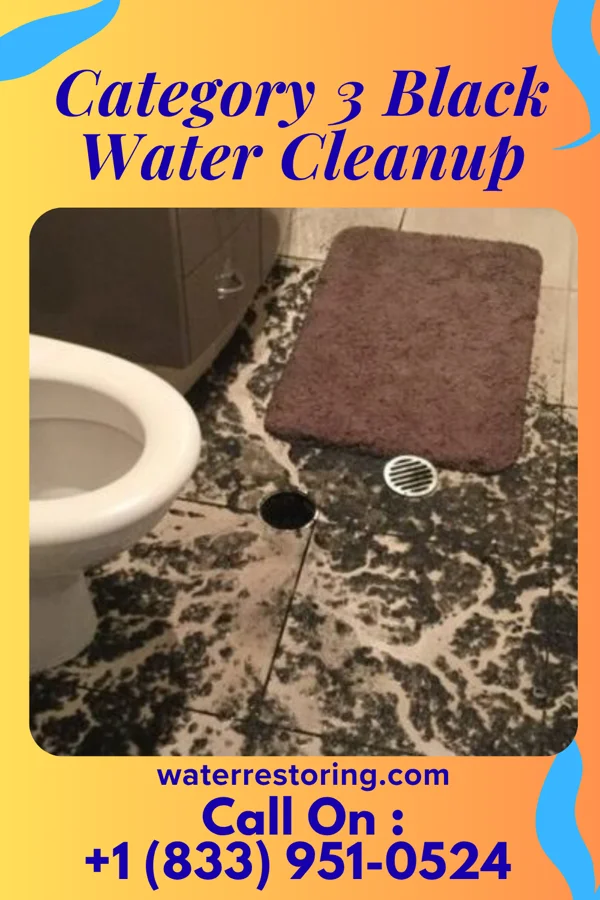 Category 3 Black Water Cleanup in Saltaire, NY