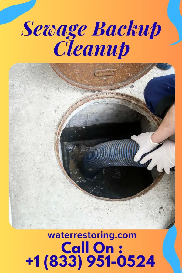 Sewage Backup Cleanup in Saltaire, NY