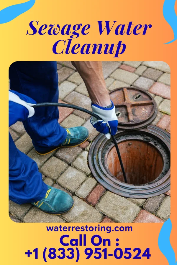 Sewage Water Cleanup in Saltaire, NY