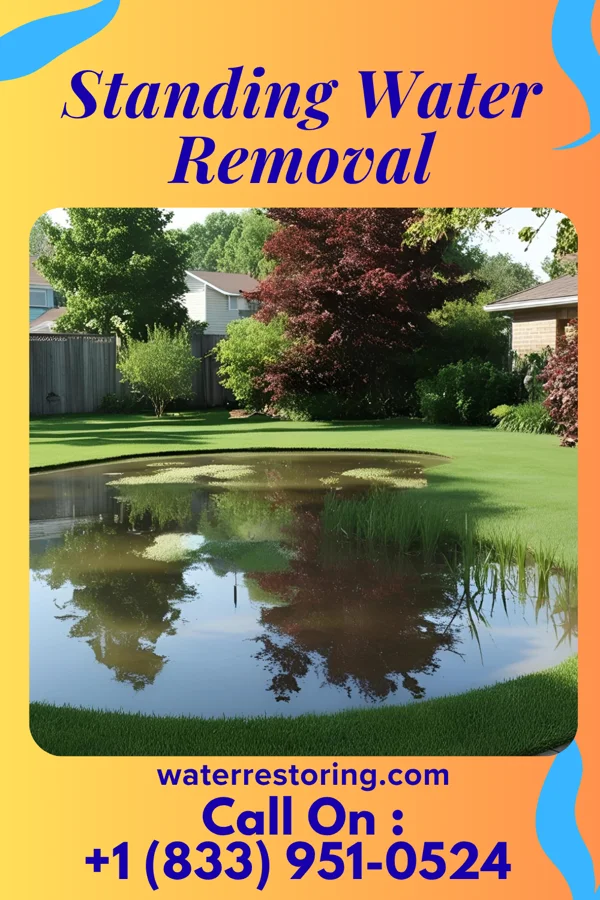 Standing Water Removal in Saltaire, NY